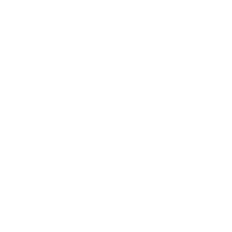 60 Days In Jail logo