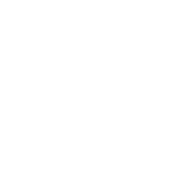 WWBT 12 On Your Side Richmond VA logo