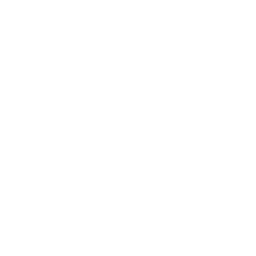 MS NOW logo