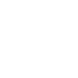 Tribeca Channel logo