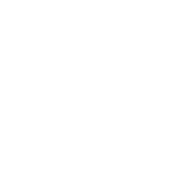 SBS South Asian logo