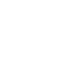 CTV Drama Channel logo