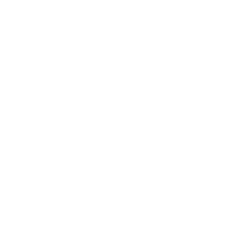 Mirror Now logo
