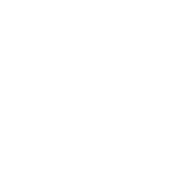 Homicide Hunter