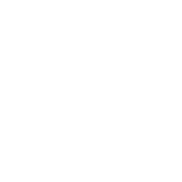 Sony Max 2 logo