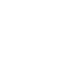 Homes Under the Hammer logo