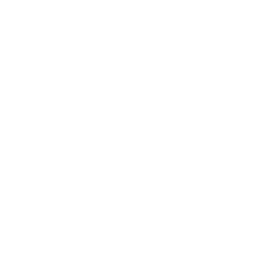 Destination America logo