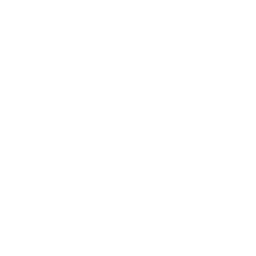 CubaMax logo