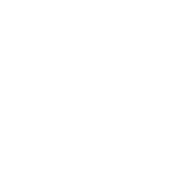 TVP Polonia logo