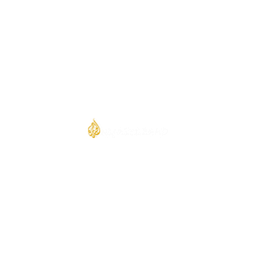 Al Jazeera HD logo