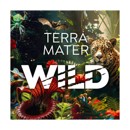 Terra Mater WILD logo