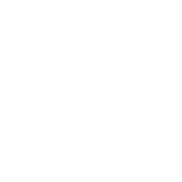 ESPN Pilot logo