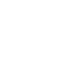 Fixers and Flippers logo