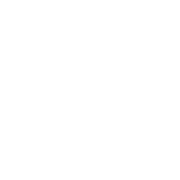 Canal D logo
