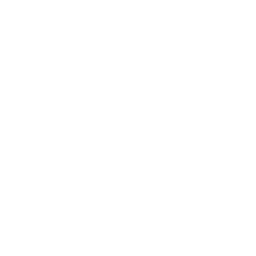 RCN Noticias logo
