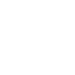 SNL Vault logo
