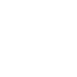 PolSat News logo