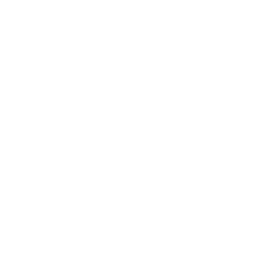 Dallas Wings logo