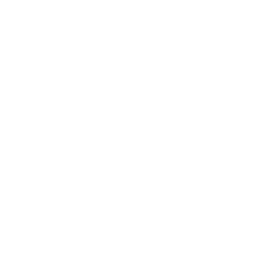 Phoenix Suns logo