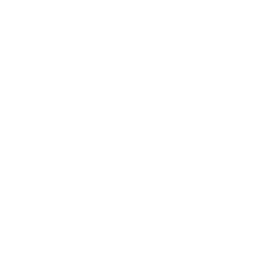 Dog The Bounty Hunter