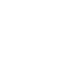 Telemicro Internacional logo
