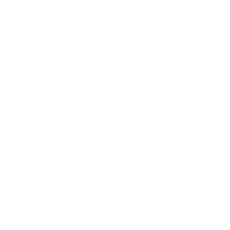 12 News Beaumont TX logo