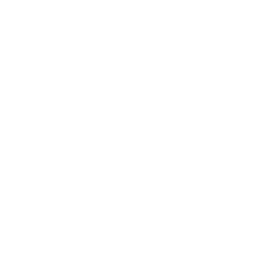 WVEC ABC 13 News Norfolk VA logo
