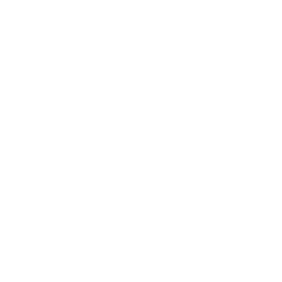 Designated Survivor logo