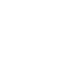 Private Eyes logo