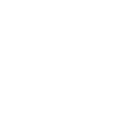 Connecticut Sun logo