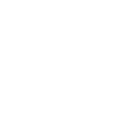 Baby Einstein logo