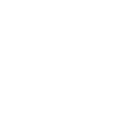 TCM Movies+1 logo