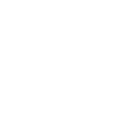 Bloodline Detectives logo