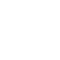TBS Pilot logo