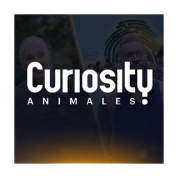 Curiosity Animales logo
