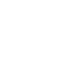 Record Americas logo