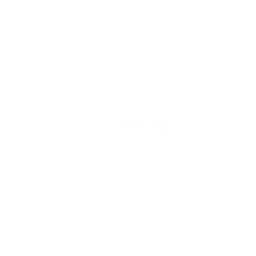 Disc.Turbo logo