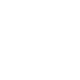 TEST Pilot logo