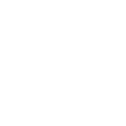 Todo Noticias logo