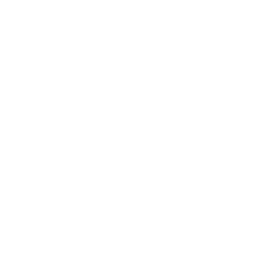 McLeods Daughters logo