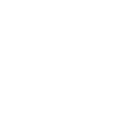 France 24 logo
