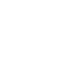 Houston Rockets logo