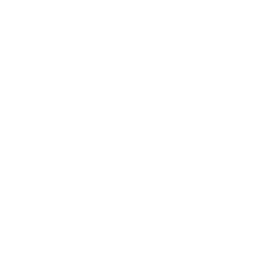 Indiana Pacers logo