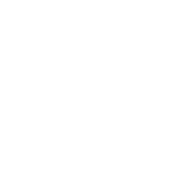 WAPA America logo