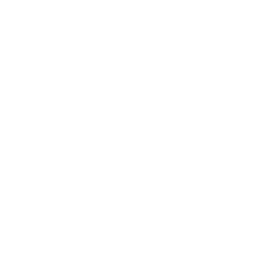 Sony Cine logo