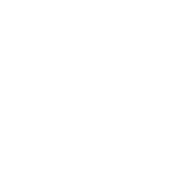 Baltimore Orioles logo