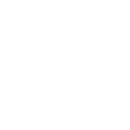Welcome Home logo