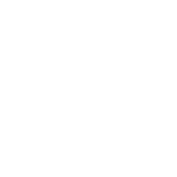 Sony Pal logo