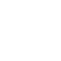 Las Vegas Aces logo