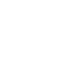 Only Music logo